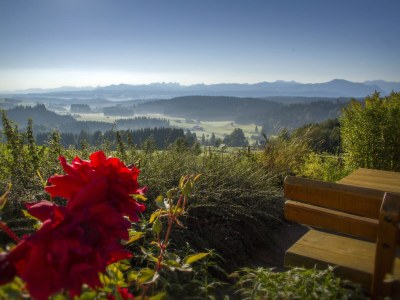 Holiday house 5 stars jewel in the Allgäu - Environment photo 18