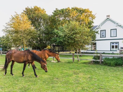 Holiday apartment Mühlenblick auf dem Ferienhof Nordseeblick - Outdoor photo 8