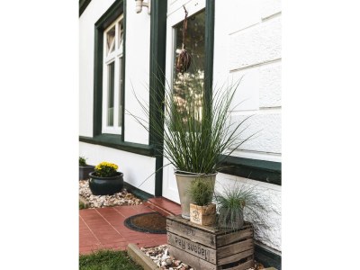 Holiday apartment Mühlenblick auf dem Ferienhof Nordseeblick - Outdoor photo 10