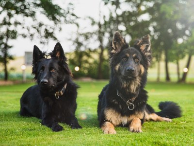 Holiday apartment Mühlenblick auf dem Ferienhof Nordseeblick - Outdoor photo 11