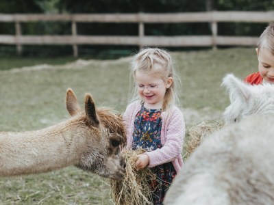Holiday apartment Mühlenblick auf dem Ferienhof Nordseeblick - Environment photo 28