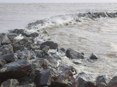 Holiday apartment Mühlenblick auf dem Ferienhof Nordseeblick - Environment photo 33