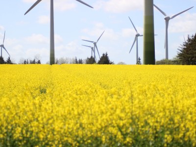 Holiday apartment Mühlenblick auf dem Ferienhof Nordseeblick - Environment photo 35