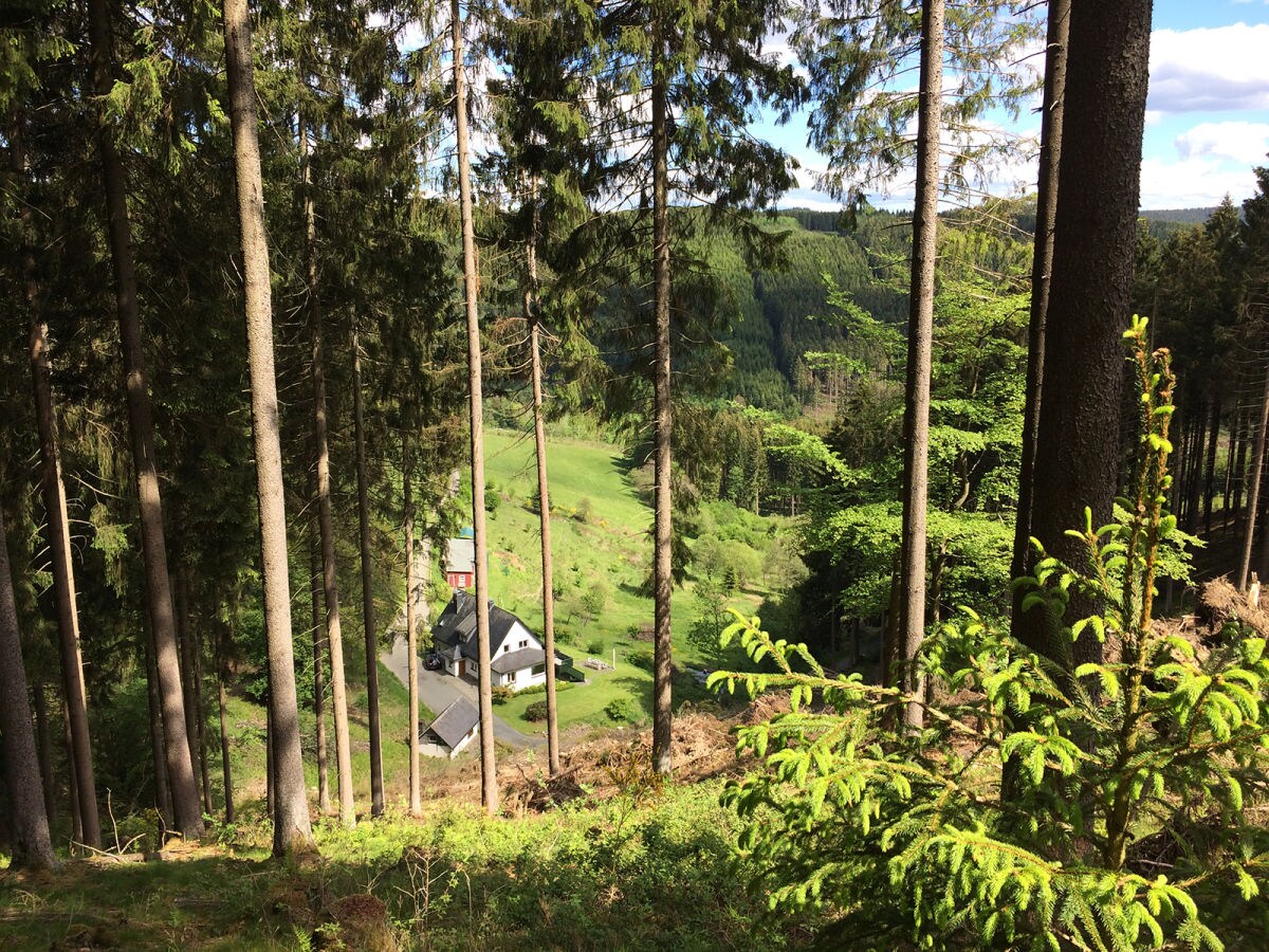 Holiday house Waldhaus am Burbach - Outdoor photo 2