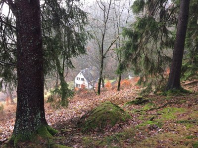 Holiday house Waldhaus am Burbach - Outdoor photo 3