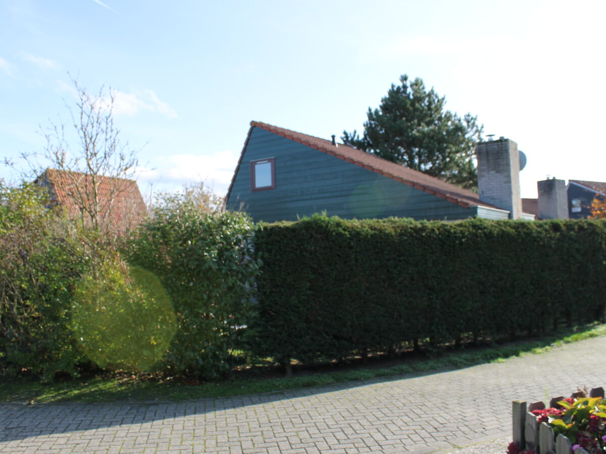 Holiday apartment The Coraaltje - Outdoor photo 3