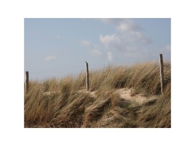 Holiday apartment The Coraaltje - Environment photo 29