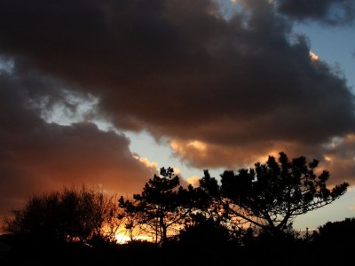 Holiday apartment The Coraaltje - Environment photo 31