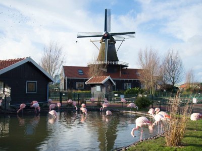 Bungalow Loko Vacationhome - Environment photo 19