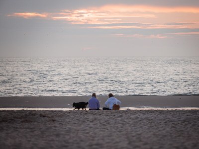 Holiday house de Lodge - Environment photo 16