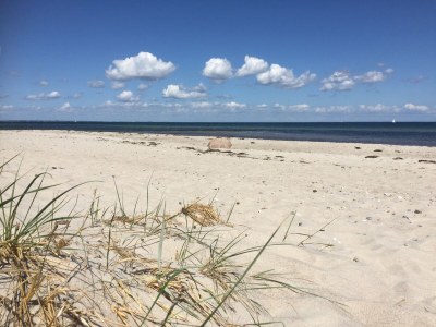 Holiday house Uhlekuhl - Environment photo 14