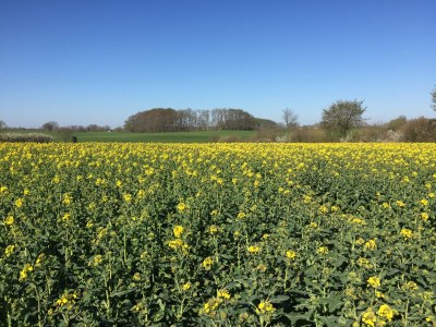 Holiday house Uhlekuhl - Document photo 19