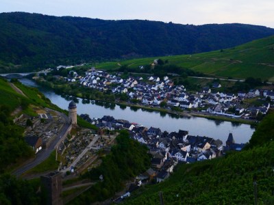 Holiday house Königsfrei - Environment photo 16