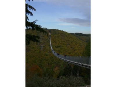 Holiday house Königsfrei - Environment photo 18