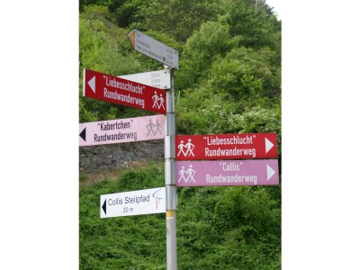 Holiday house Königsfrei - Environment photo 21