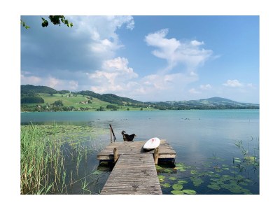 Holiday apartment Irrsee Mondseeland Salzkammergut - Outdoor photo 8