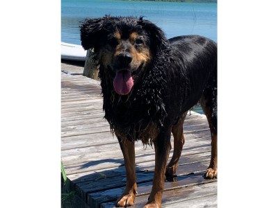 Holiday apartment Irrsee Mondseeland Salzkammergut - Outdoor photo 10