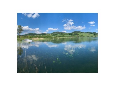 Holiday apartment Irrsee Mondseeland Salzkammergut - Outdoor photo 14