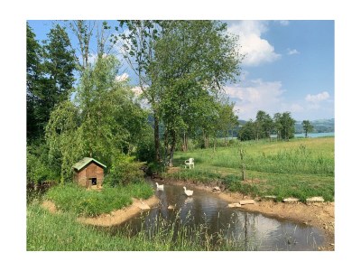 Holiday apartment Irrsee Mondseeland Salzkammergut - Environment photo 22