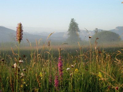 Holiday apartment Irrsee Mondseeland Salzkammergut - Environment photo 26