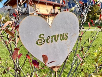 Chalet Mountain chalet Falkenstein Inzell - Outdoor photo 10