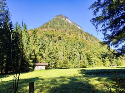 Chalet Mountain chalet Falkenstein Inzell - Environment photo 38