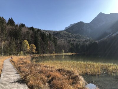 Chalet Mountain chalet Falkenstein Inzell - Environment photo 39