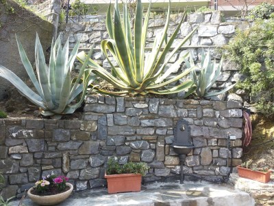 Holiday apartment Bella Laigueglia - Outdoor photo 6