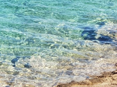 Holiday house BLUE with sea view in nature near the beach - Environment photo 36