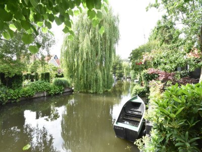 Holiday house Serene Getaway in Edam - Outdoor photo 8