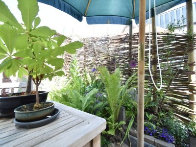 Holiday house Serene Getaway in Edam - Outdoor photo 9