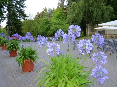 Holiday house Geräumiges Ferienhaus im Kellerwal mit Terrasse - Environment photo 27