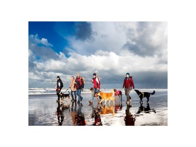 Chalet Chalet Duinpan - Environment photo 14