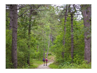 Chalet Chalet Duinpan - Environment photo 19