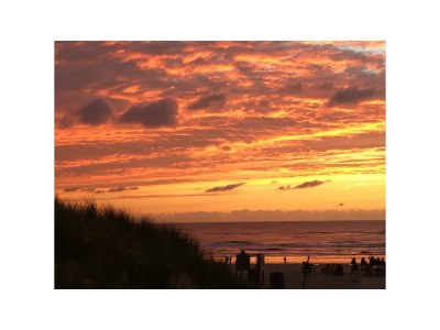 Chalet Chalet Duinpan - Environment photo 20