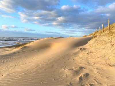 Chalet Chalet Duinpan - Environment photo 21