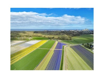 Chalet Chalet Duinpan - Environment photo 22