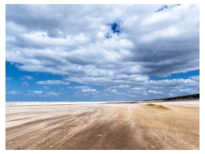 Chalet Chalet Duinpan - Environment photo 23