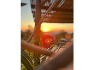 Holiday house Casa Carrettiere - Holiday with your dog in Tuscany - Outdoor photo 6