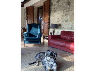 Holiday house Casa Carrettiere - Holiday with your dog in Tuscany - Features photo 14