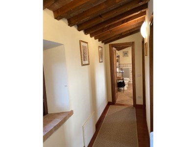 Holiday house Casa Carrettiere - Holiday with your dog in Tuscany - Features photo 18