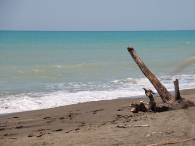 Holiday house Casa Carrettiere - Holiday with your dog in Tuscany - Environment photo 22