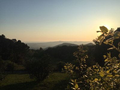 Holiday house Casa Carrettiere - Holiday with your dog in Tuscany - Environment photo 23