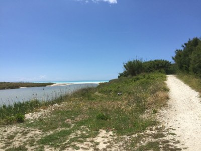 Holiday house Casa Carrettiere - Holiday with your dog in Tuscany - Environment photo 26