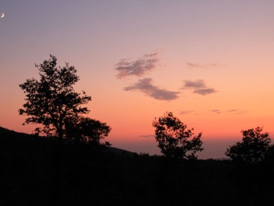 Holiday house Casa Carrettiere - Holiday with your dog in Tuscany - Environment photo 27