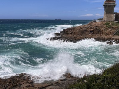 Holiday house Casa Carrettiere - Holiday with your dog in Tuscany - Environment photo 28