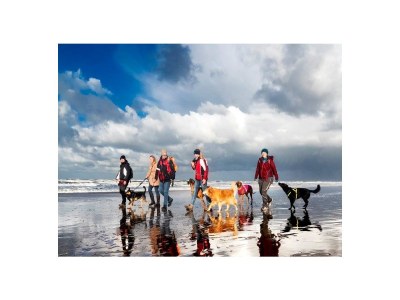 Chalet Chalet Duinpan am Wasser 2 - Environment photo 15