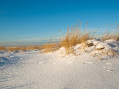 Chalet Chalet Duinpan am Wasser 2 - Environment photo 20