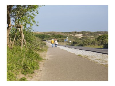Chalet Chalet Duinpan 2 - Environment photo 17