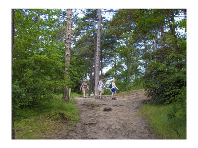 Chalet Chalet Duinpan 2 - Environment photo 19